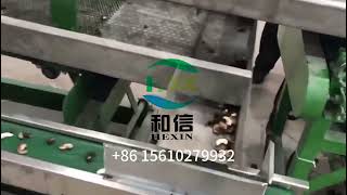 Fully Automatic Cashew Shelling Production Line – High Efficiency Nut Processing Machine