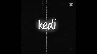 Kedi Edit