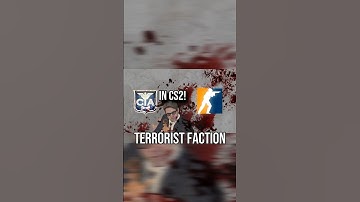 Should The CIA Be Added In CS2?