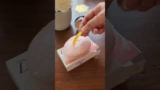 Dove Pink Beauty Bathing Bar  pH Test|Must Watch Before You Buy|Dove Soap Live pH Testing