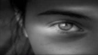 The Bablers "You Are The One For Me" (ESNET) screenshot 1