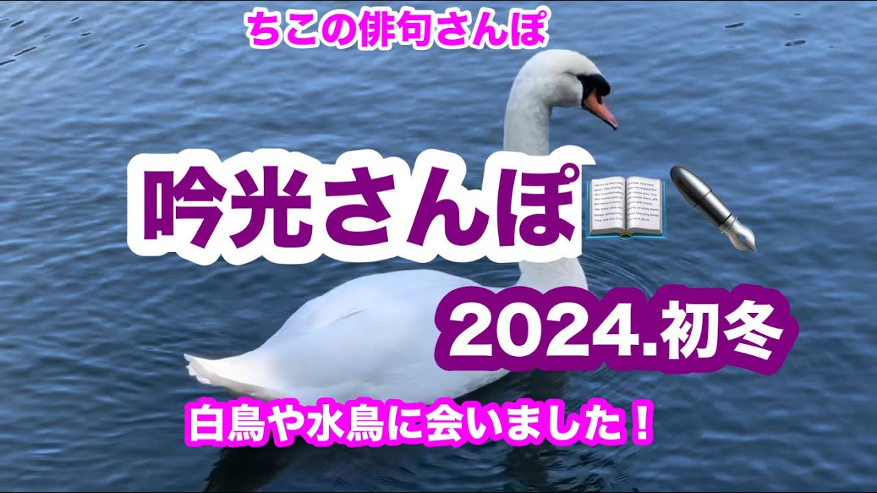 吟行さんぽ（2024・初冬）第149回】 - YouTube