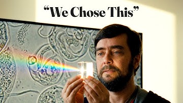 Why Bubble Sort Proves We Don