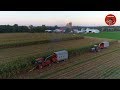 Chopping Corn Silage near Decatur Indiana - September 2018
