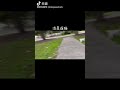 walking my cat elsa