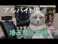 埼玉県へ出張