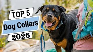 The 5 Best Dog Collars in 2026 | Best Dog Collars Buying Guide
