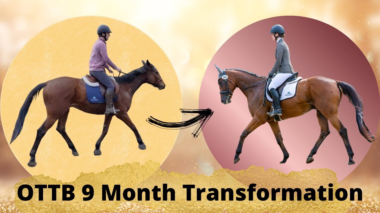 OTTB 9 Month Transformation