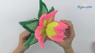 картинка: Модульное оригами 3D • Лотос • OB-6013