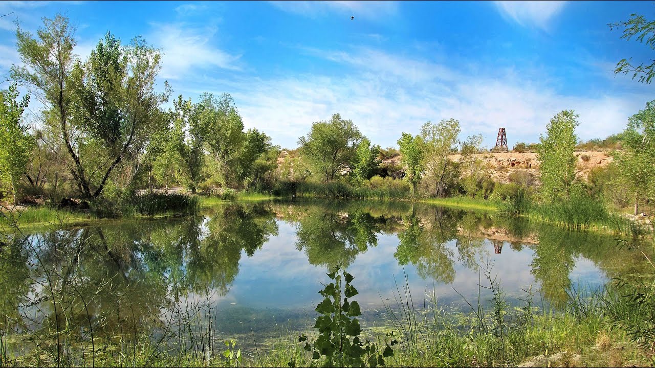 Natural Area and Trails