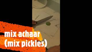 Mix Achaar (Mix pickles)