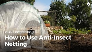 Famous How to use anti-insect netting Net Worth