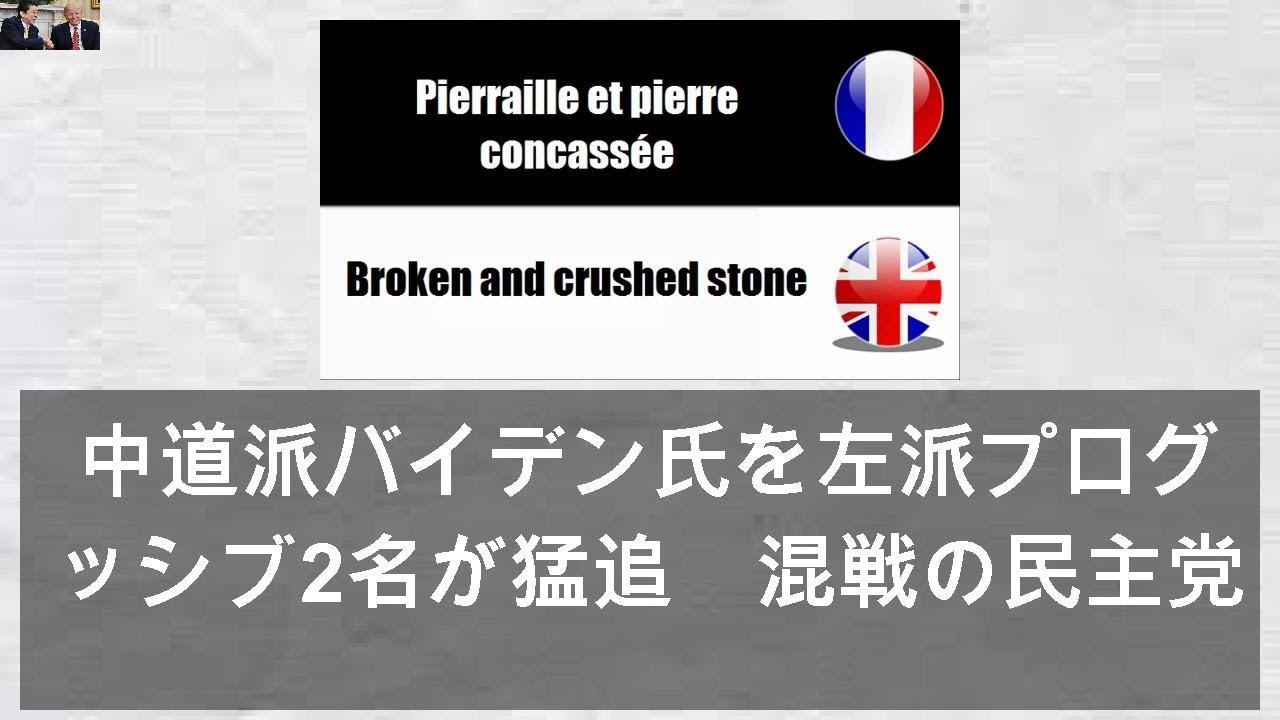 中道派バイデン氏を左派プログレッシブ2名が猛追 混戦の民主党指名争い | NewSphere - YouTube