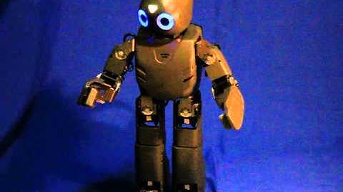 DARwIn OP Interactive Motion