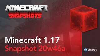 Minecraft Snapshot 20W46A - Server.pro