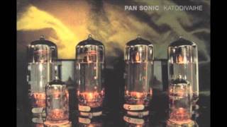 Pan Sonic- About Insects / Hyönteisistä
