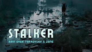 Deep Midnight STALKER | Rain Over the Zone | Dark Focus