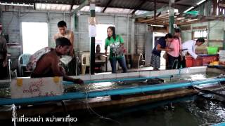 Annawar Pathein Seafood , Chaung Tha