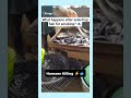 How Catfish Are Cleaned Before Smoking | Fish Processing Step 2 🐟