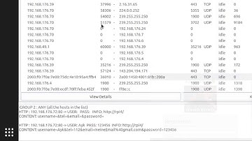 Man-in-the-Middle-Attack Demo
