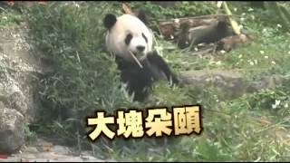 每天一圓仔：大家都想減肥 圓仔照吃不誤--蘋果日報 20150226