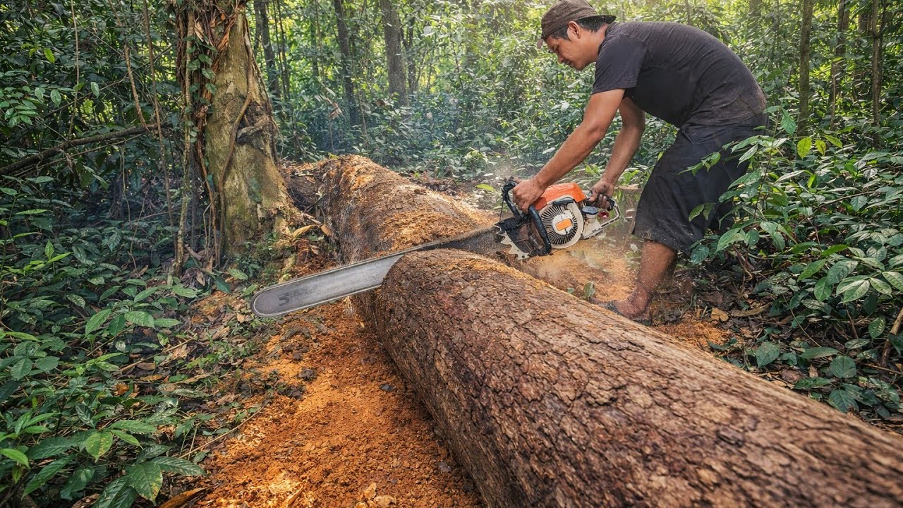 Keterampilan operator gaya mundur..!! Bagian kayu yang jarang di olah...