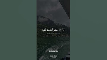من سورة النساء … الشيخ سعد الغامدي | #الله #allah #القران_الكريم #القرآن_الكريم #foryou #اكسبلور#fyp