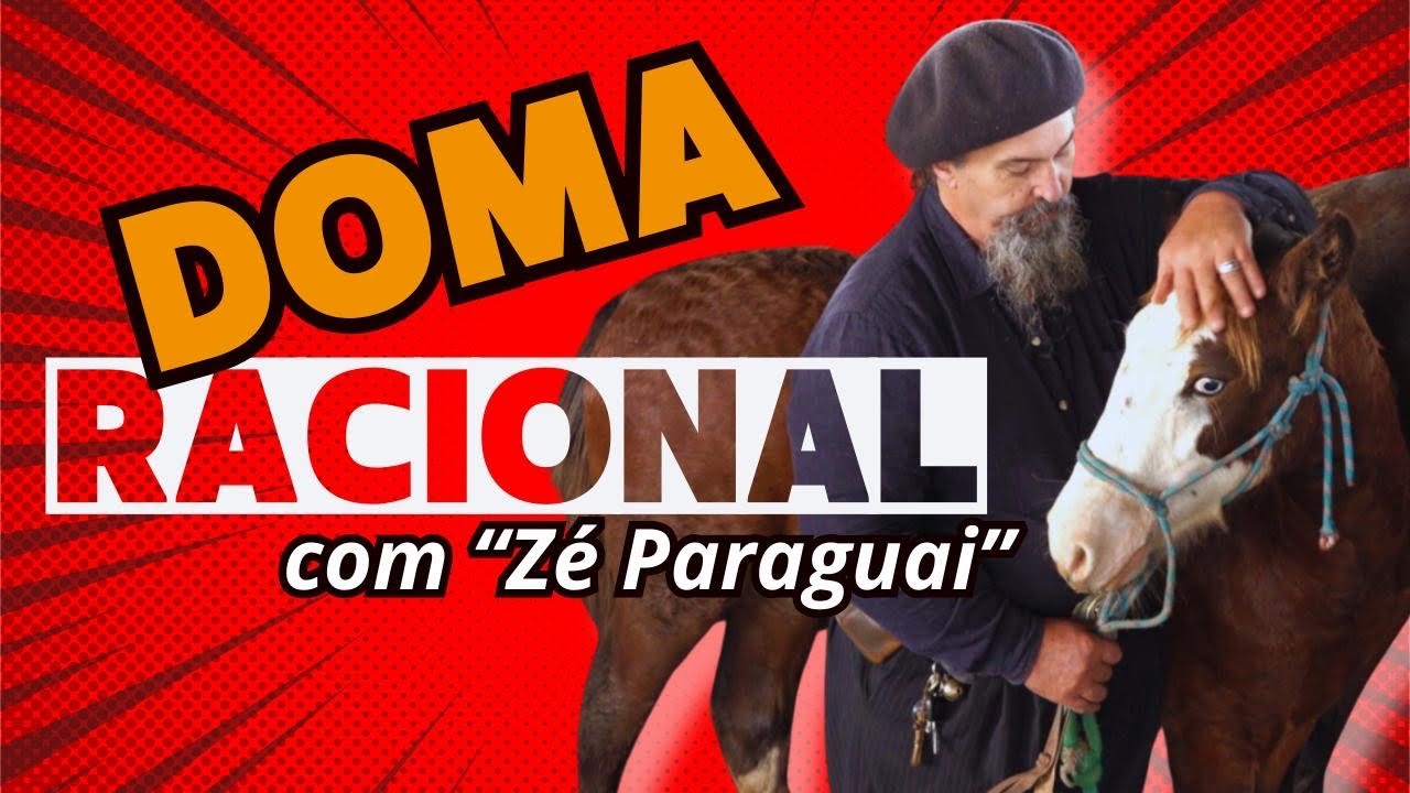 Doma Racional - o primeiro contato com o potro na Estância Liberdade