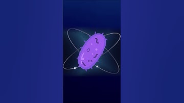 Brains On: Shrinking down to the size of an atom!