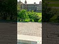 Peshawar University #youtubeshorts #ytshorts #ytshort #shortsvideo #shortvideo #nature #travel