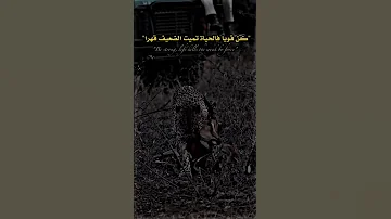 حالات واتس اب غليص ولد رماح مراجل لو ماضل يوم بعمري 
