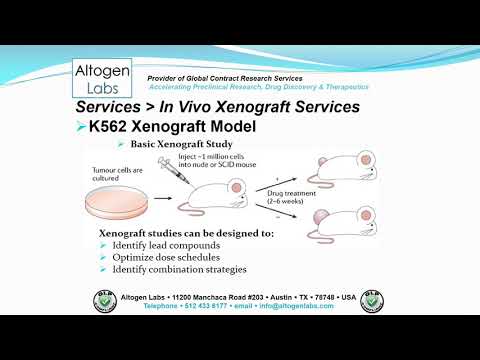 Altogen Labs K562 Xenograft Service Leukemia