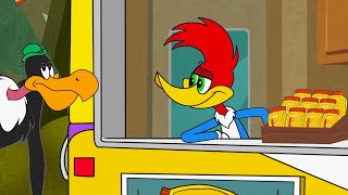 Download Lagu Woody Runs a Food Truck | Woody Woodpecker MP3 Download Lagu Woody Runs a Food Truck | Woody Woodpecker MP3