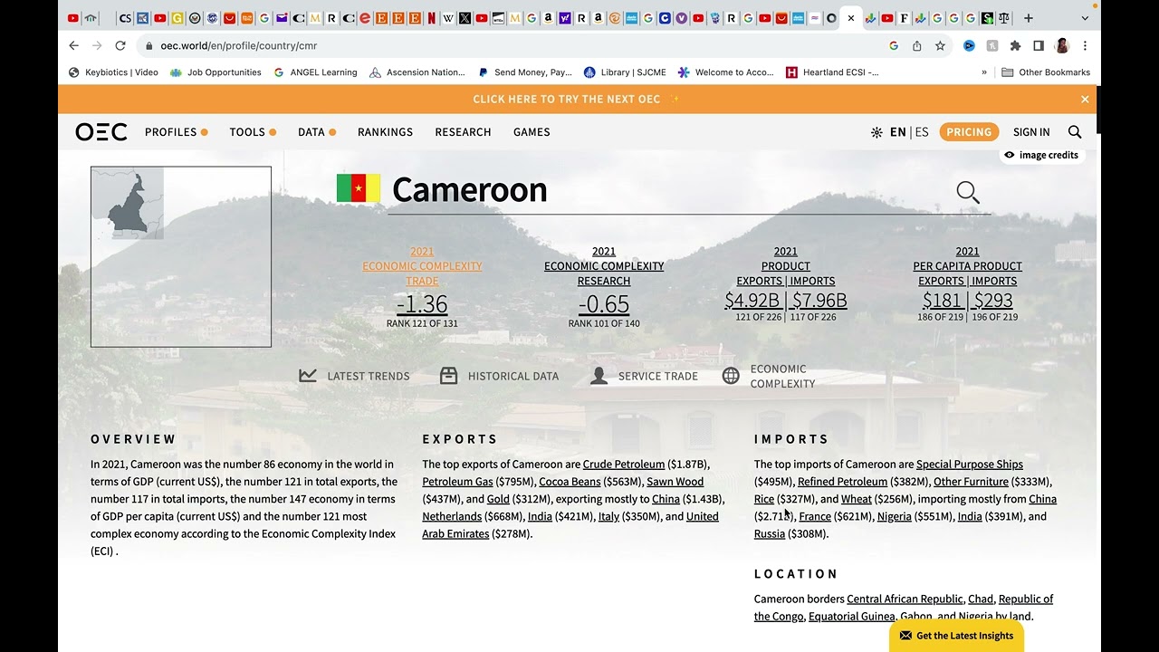 Cameroon's economic profile: Imports/exports for 2021.