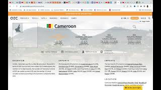 Cameroon&#39;s economic profile: Imports/exports for 2021.