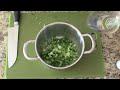 Middle of video