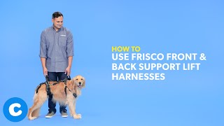 How To Use Frisco Front & Back Support Lift Harnesses | Chewy