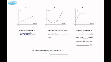 6.1 & 6.2 Graphs of Relations and Linear Relations (Adept - Pre-Calculus 10)