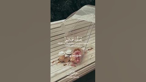القارئ محمود أبو حفص
