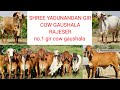 Shree Yadunandan Gir Cow Gaushala Rajeser, Junagadh mo. 9825880865 (Best Gir Cow Gaushala)
