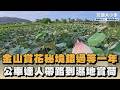金山賞花秘境錯過等一年　公車達人帶路到濕地賞荷｜#全民話燒