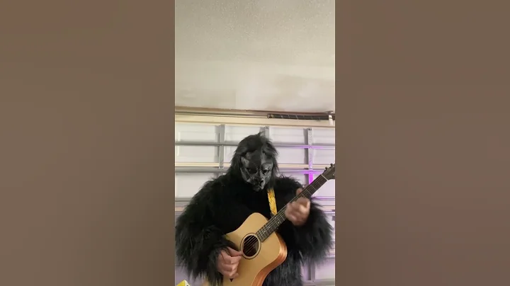 A Favor House Atlantic Intro On Acoustic Guitar #coheedandcambria #acousticguitar #acousticcover