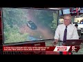 8-year-old boy dies after tree falls at Wayland summer camp