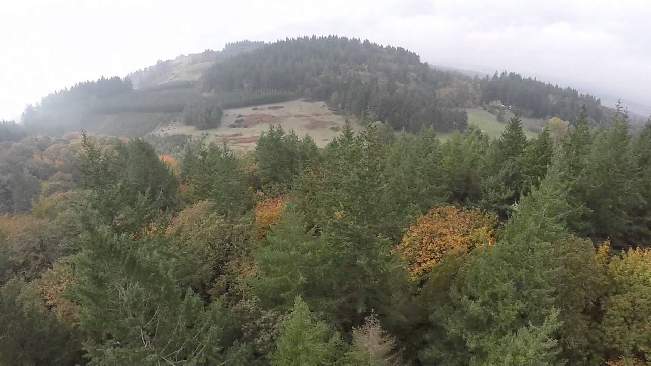 camera iphone 8 plus apk 8501 SE 3 Trees Lane Amity Oregon