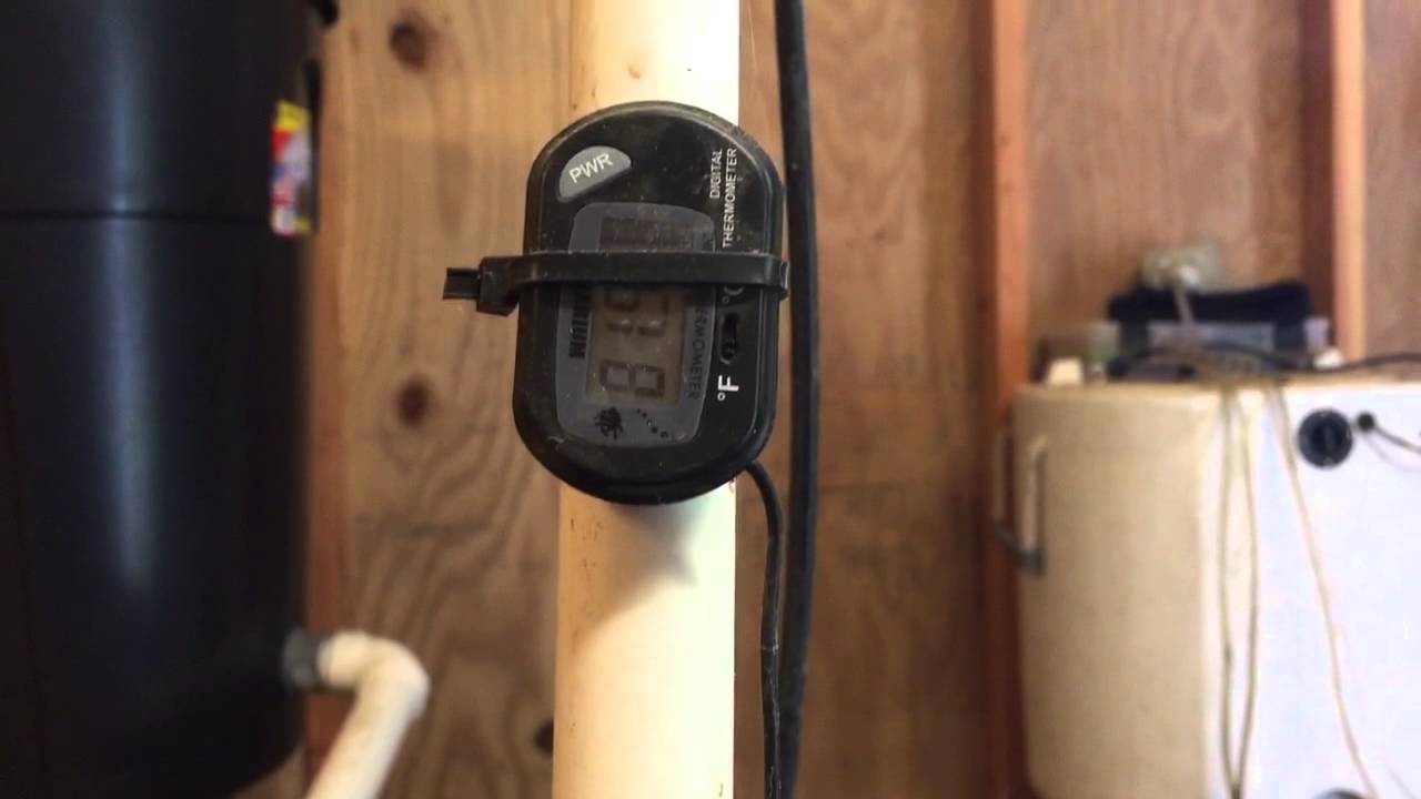 Blueback herring 82 degrees YouTube