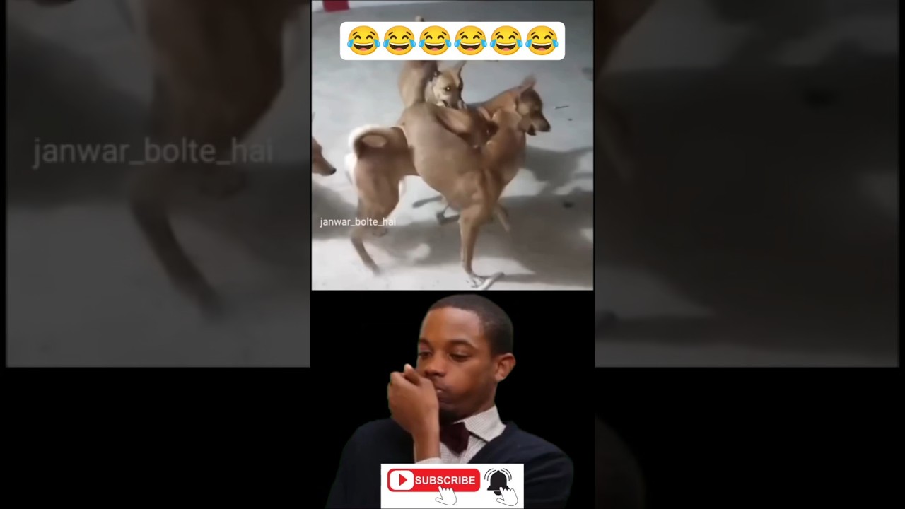 STOP LAUGHING CHALLENGE (Impossible!) 😳 