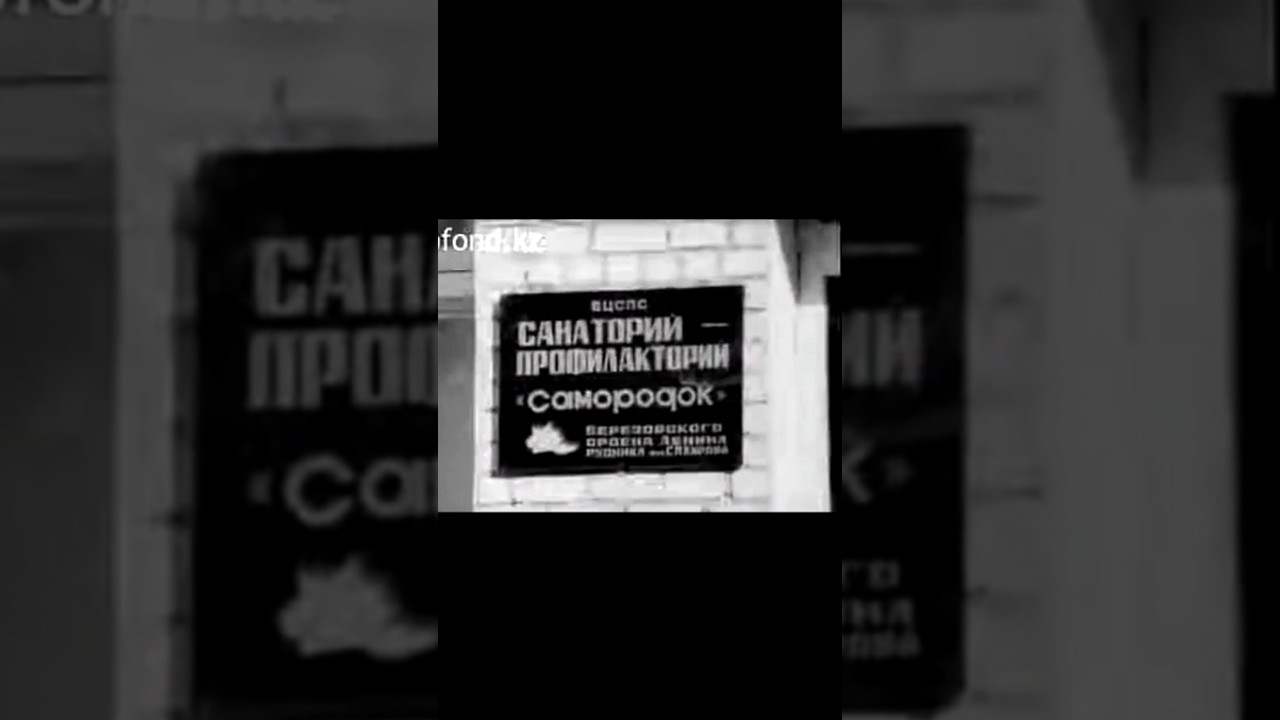 При каждом предприятии действуют хорошо оборудованные профилактории... 1979 год.