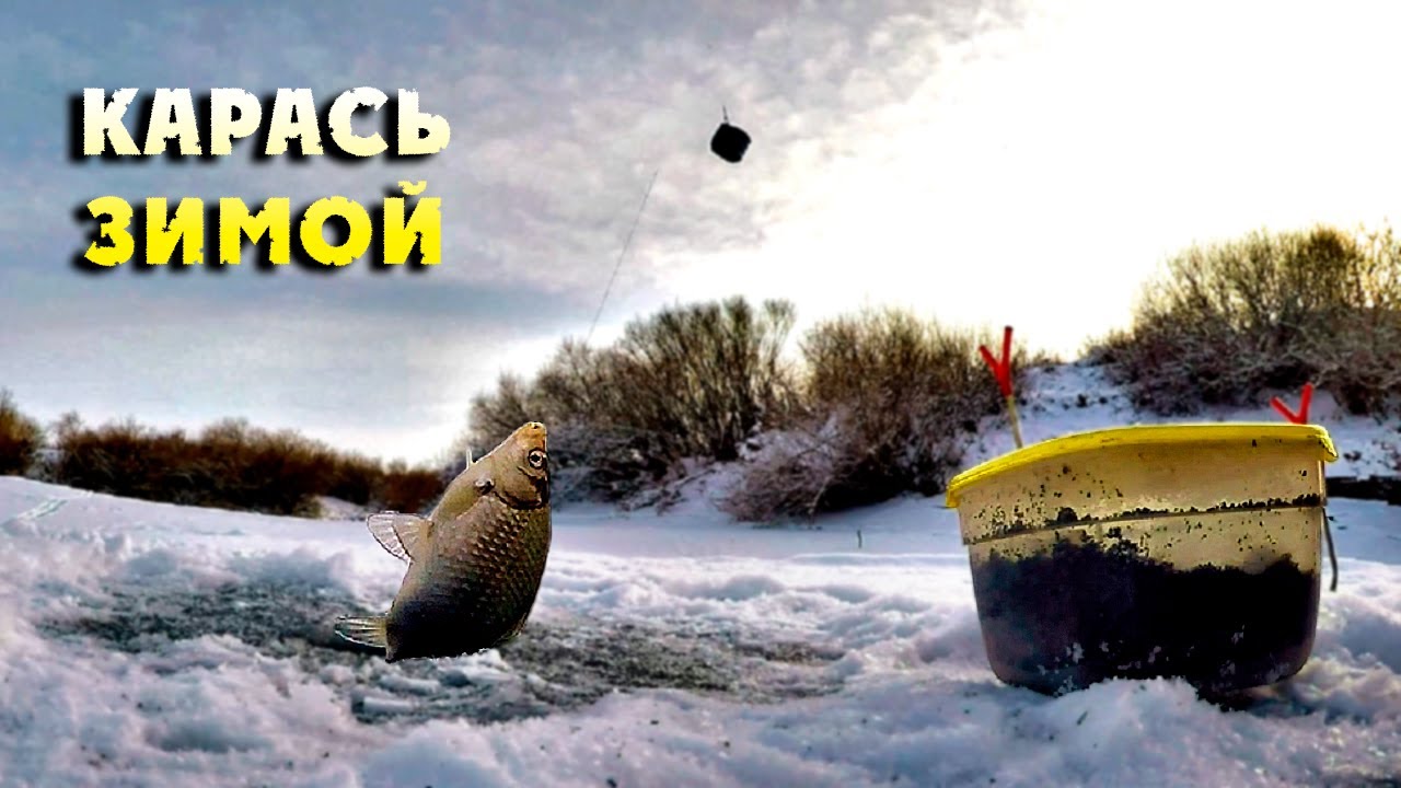 Уже не первый лёд! Подлёдный фидер против мормышки. Ловля карася зимой. Зимняя рыбалка.