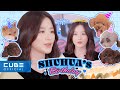 💜 HAPPY SHUHUA DAY 🤎 (Feat. 반려견 마사지 클래스 🐕) (ENG)