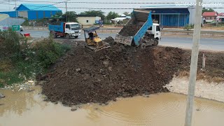 Bulldozer working Pushing sticky clay Filling Pond And Dump Truck dumping sticky clay